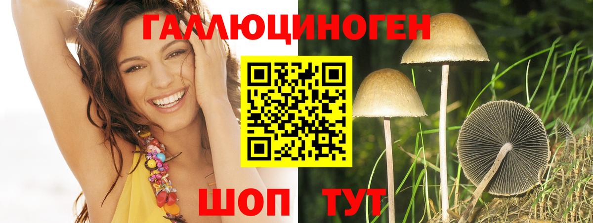 Пугачёв  Галлюциногенные грибы прущие грибы  Галлюциногенные грибы мухоморы  Вход с VPN 