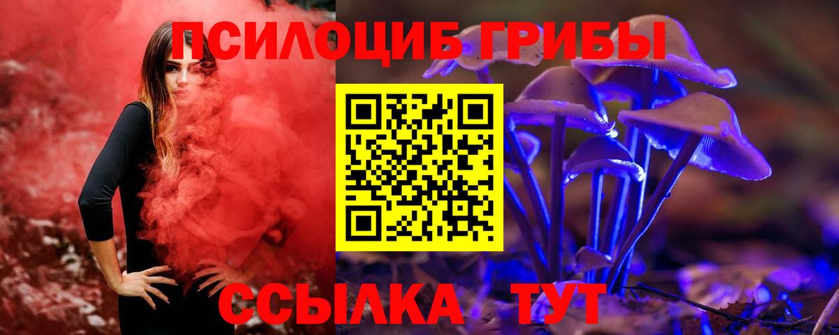 Галлюциногенные грибы GOLDEN TEACHER Пугачёв